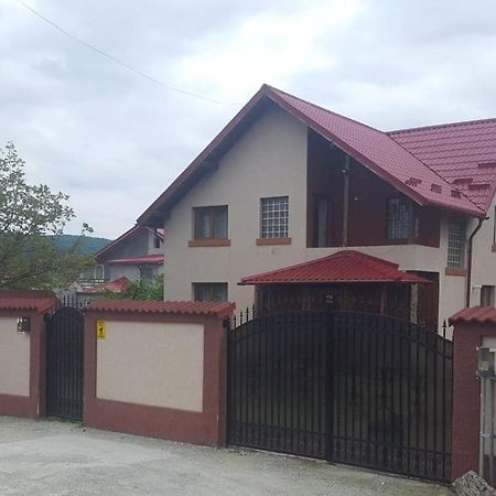 Vila De Vacanta Curtea De Arges Luaran gambar