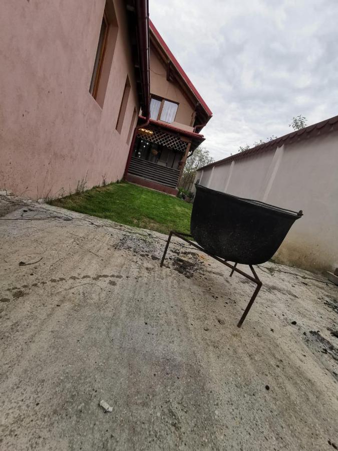 Vila De Vacanta Curtea De Arges Luaran gambar