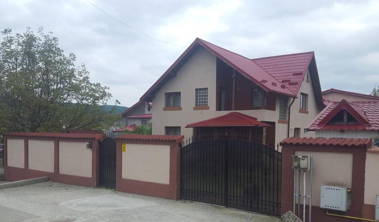 Vila De Vacanta Curtea De Arges Luaran gambar
